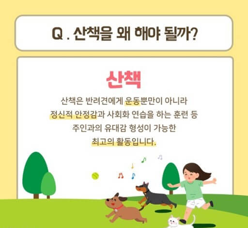반려견의 행복을 위한 산책