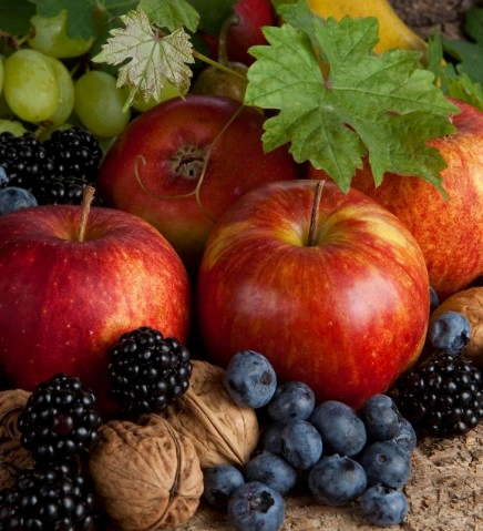 퀘르세틴 영양제 추천