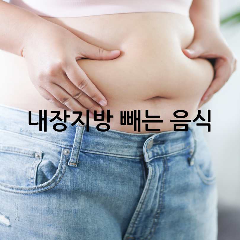 내장지방빼는음식