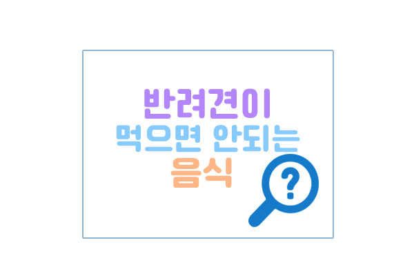 반려견금지음식대표이미지