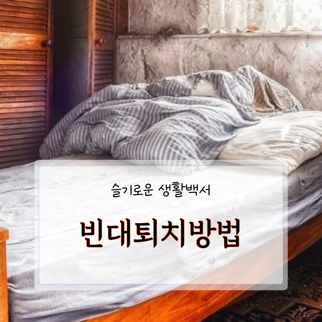 빈대 퇴치법