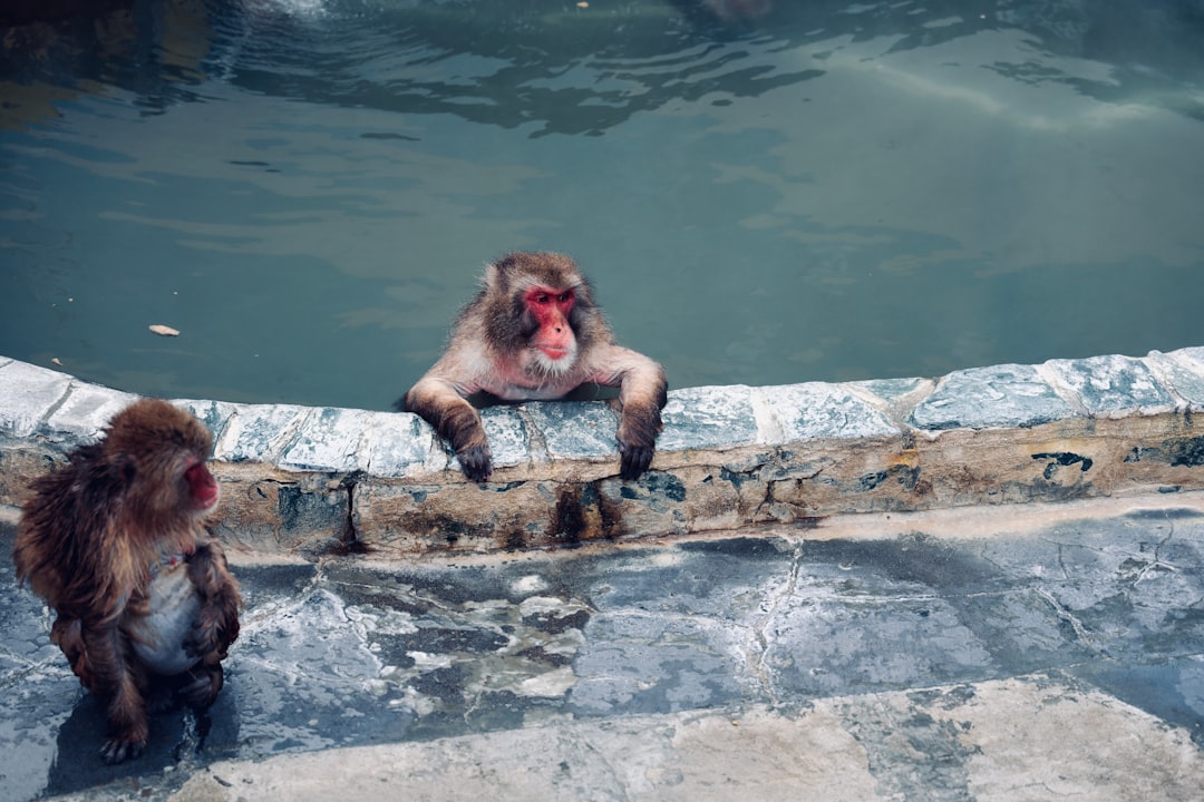 Hot spring.