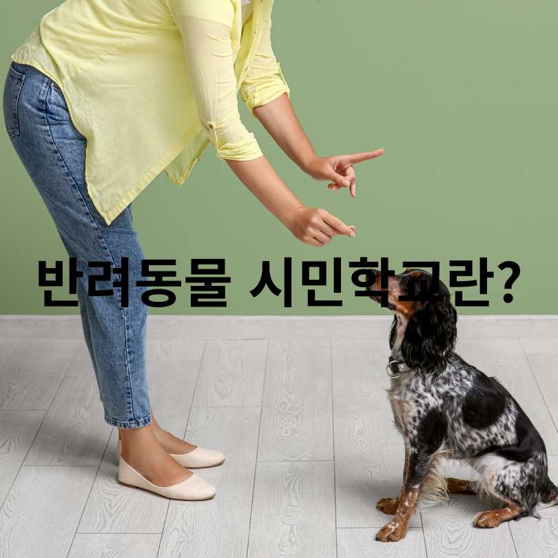 서울 반려동물 시민학교 신청 방법 총정리