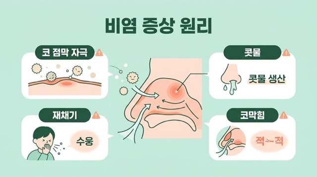 비염 증상 코 점막 자극 콧물 재채기 코막힘 설명