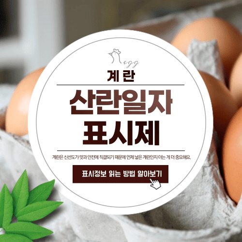 계란 산란일자 표시제, 소비자가 꼭 알아야 할 변화