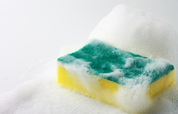 주방 스폰지