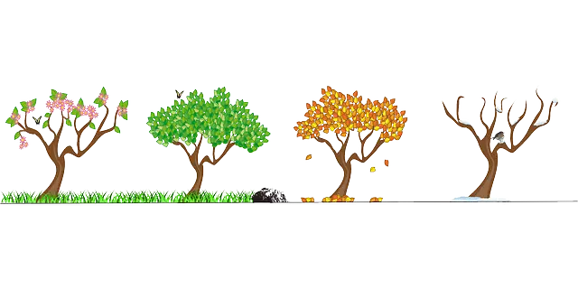 계절별로 달라지는 렌즈 설계