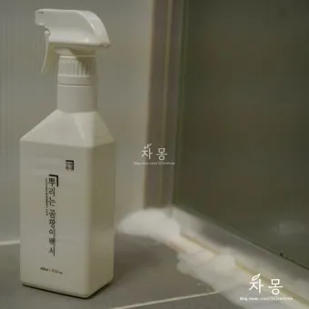 곰팡이 제거 방법 방지 페인트 냄새 없애기_18