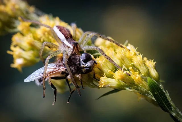 보령 월전리 죽도 상화원 가는법_7