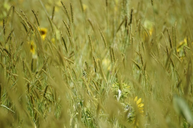 스트레스성 탈모