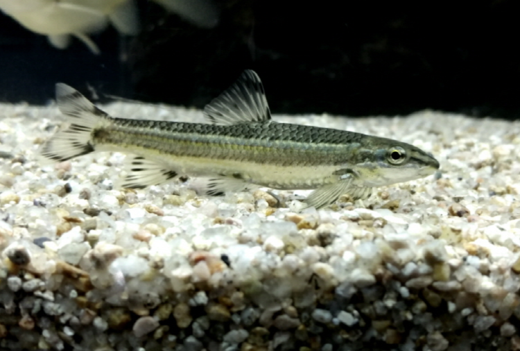 부천 자연생태공원