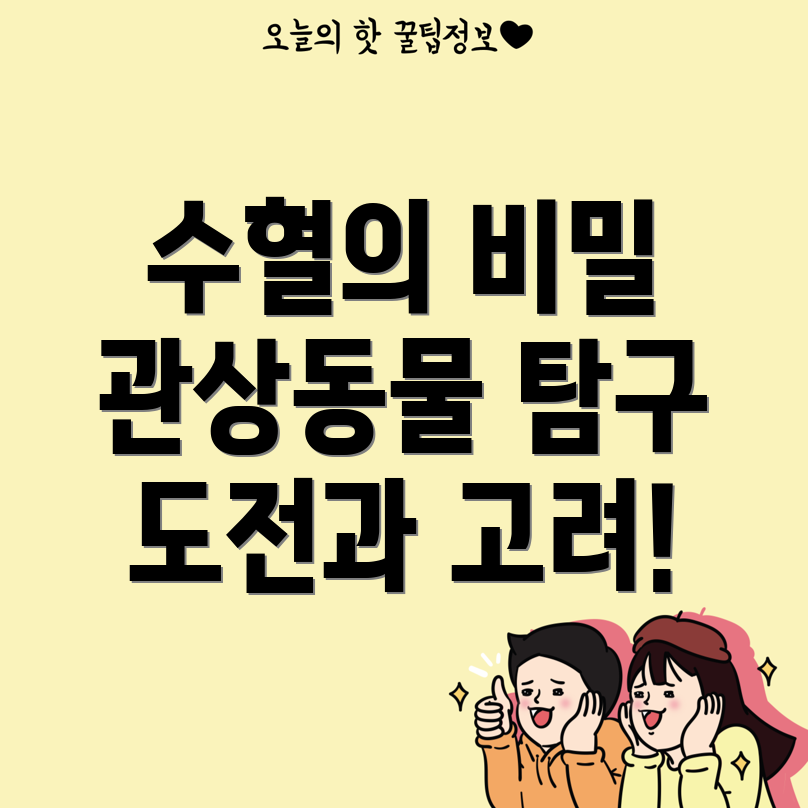 수혈