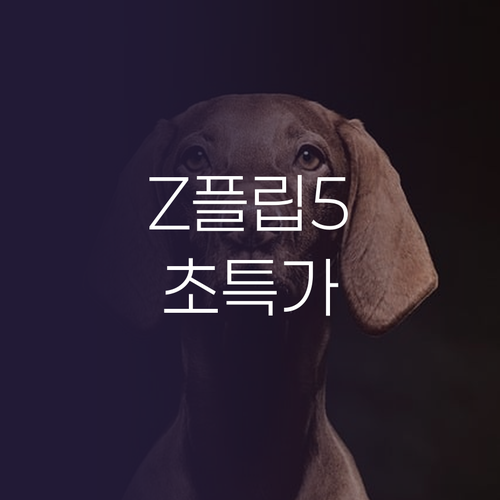 갤럭시 Z플립5 단순개봉 새제품 등장..