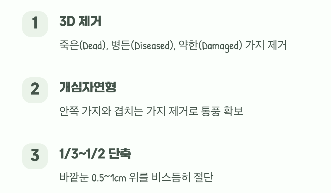 실패 없는 가위질의 3가지 법칙