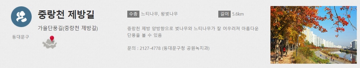 중랑천 제방길