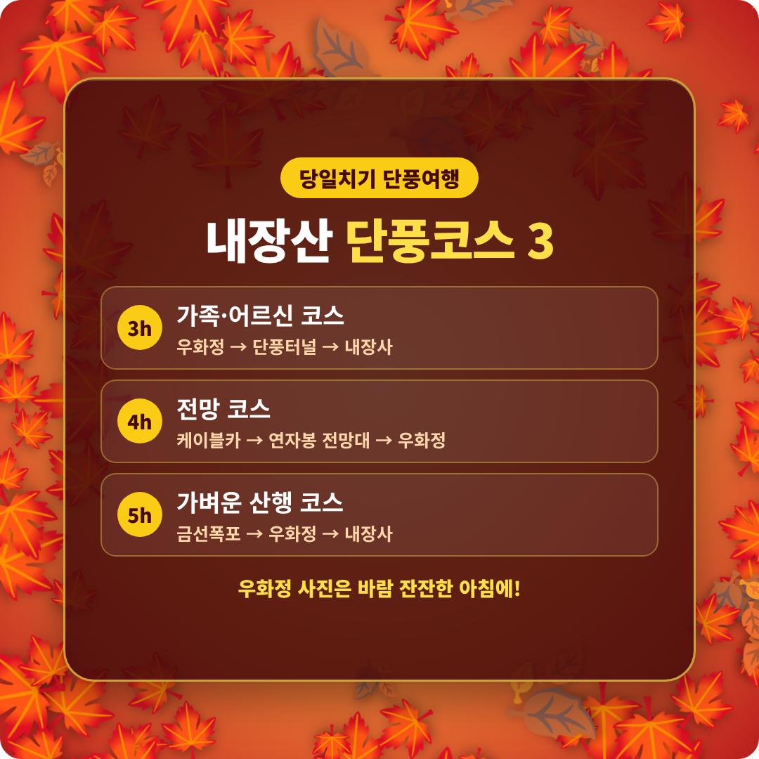 내장산 단풍축제 기간 이미지