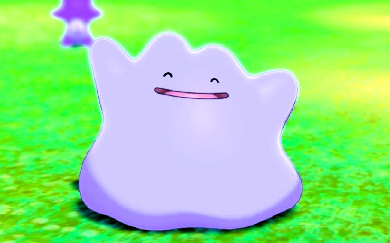 포켓몬 GO 플레이어를 위한 특별 이벤트