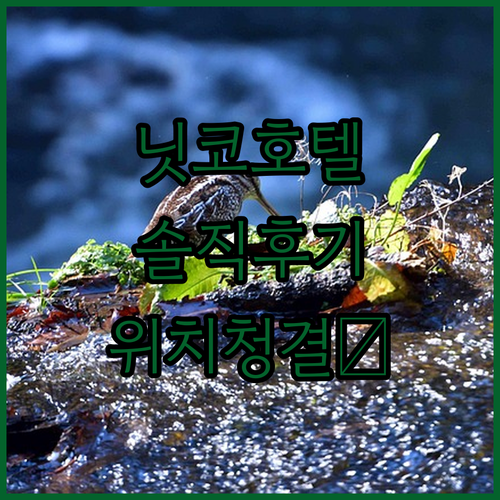 샌프란시스코 호텔 닛코 숙박 솔직 후