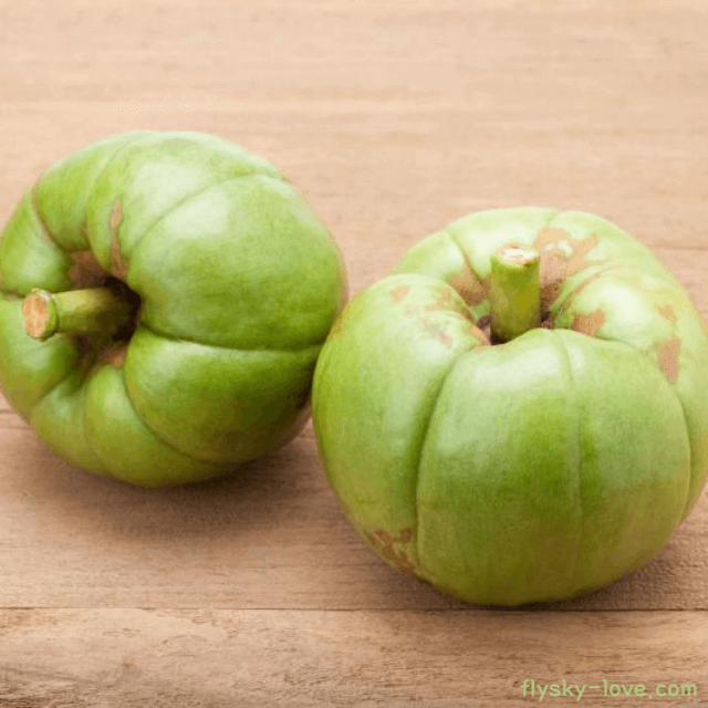 가르시니아 다이어트 효능