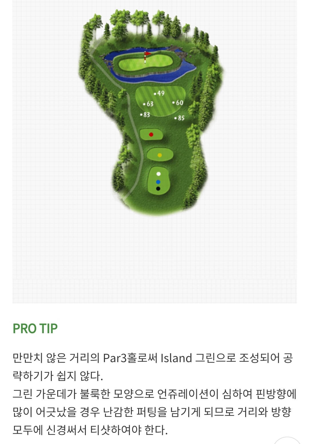 솔모로 컨트리클럽 파인코스 03