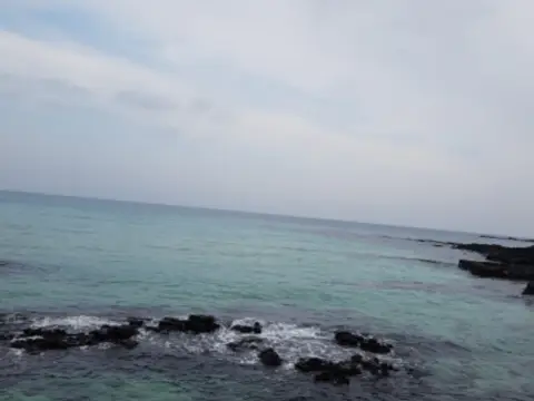 제주도-가을여행