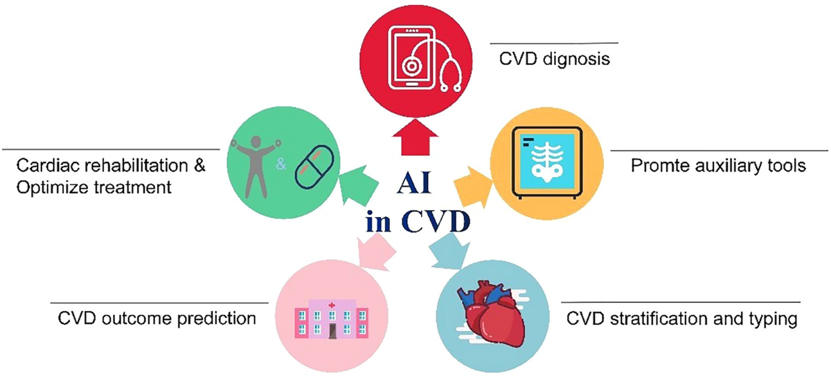 심장질환 보조약물 완벽 가이드: 함께 쓰는 필수 약물 총정리