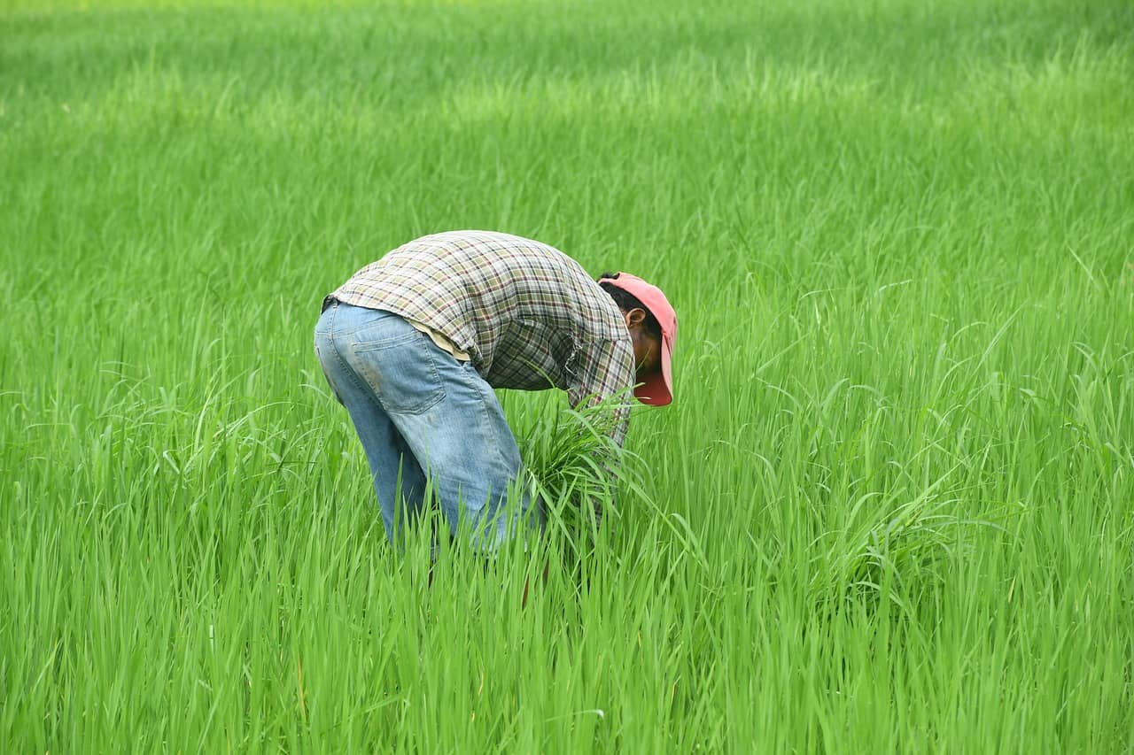 스마트 농업을 위한 자동 급수 및 관개 기술 완벽 가이드