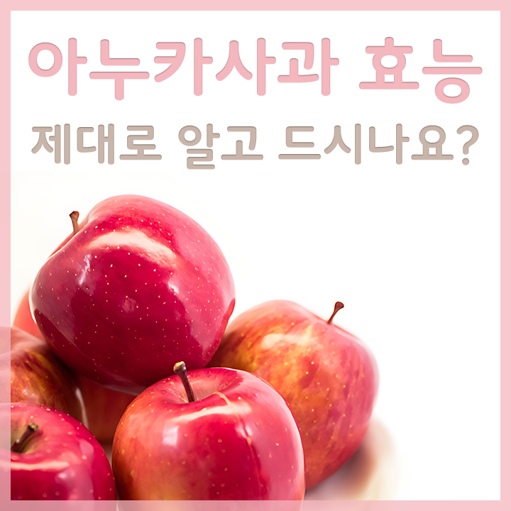 싱싱한-아누카사과-모습