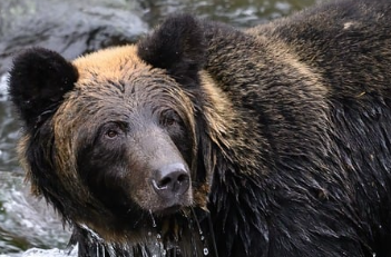 장마 예상 기간 2025년 18