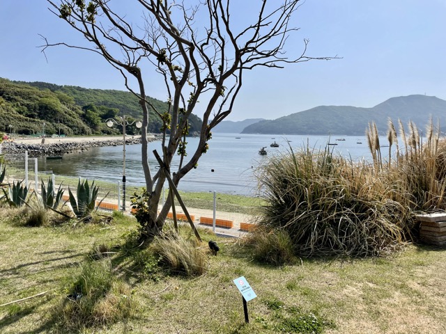 바다와-바로-맞닿아-있어-가슴이-시원해집니다.