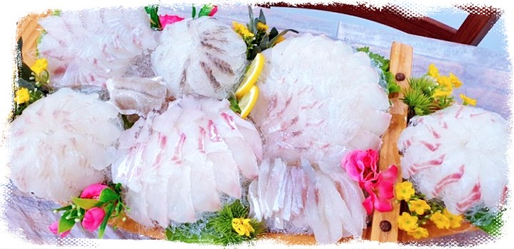 양양-낙산해변-회센터-맛집-모듬회
