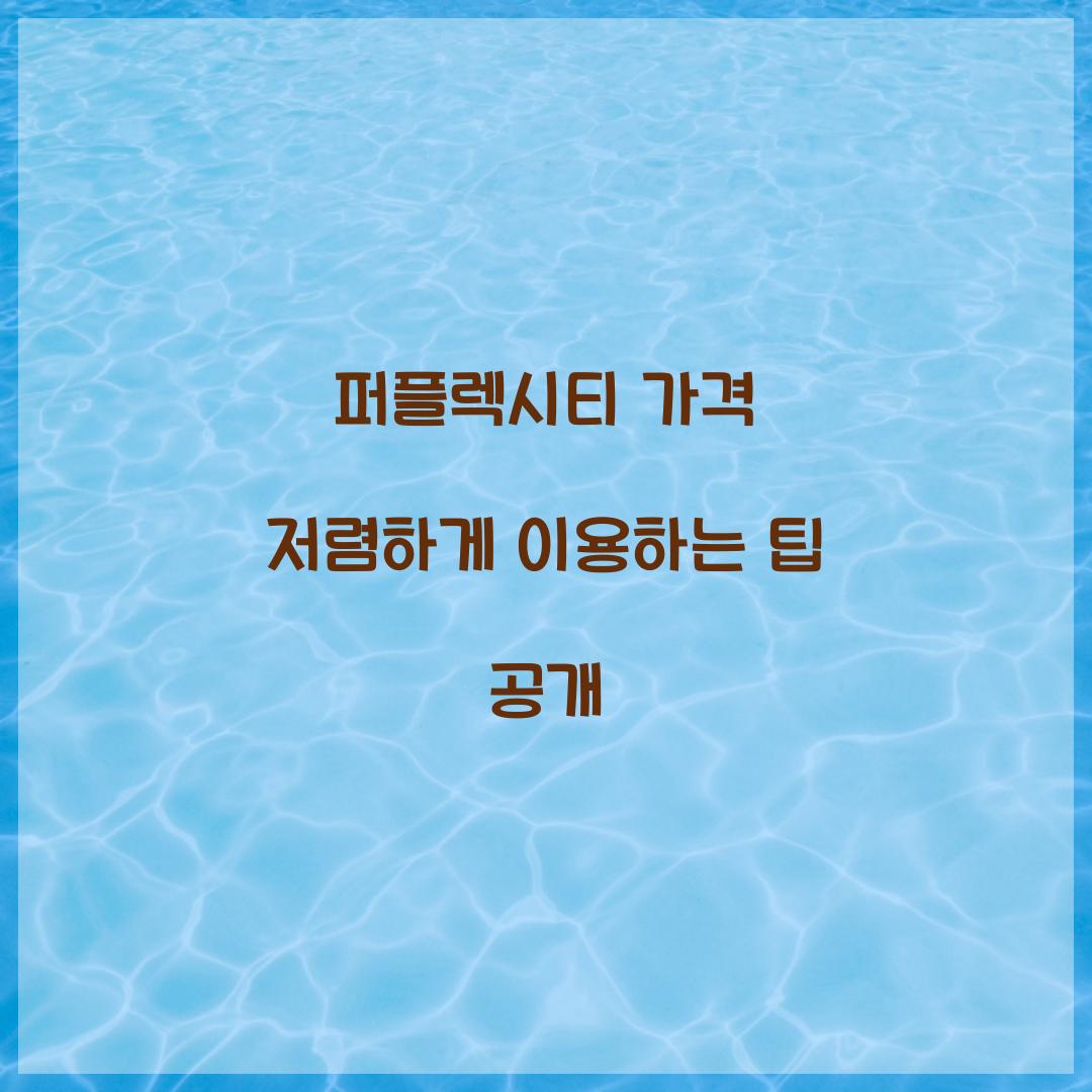 퍼플렉시티 가격