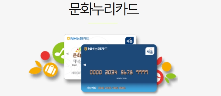 2025 세종시 문화누리카드 지원금액, 온오프라인 가맹점 알아보기