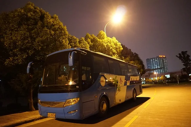 경포해변 고속버스 터미널 시간표 고속버스 예매