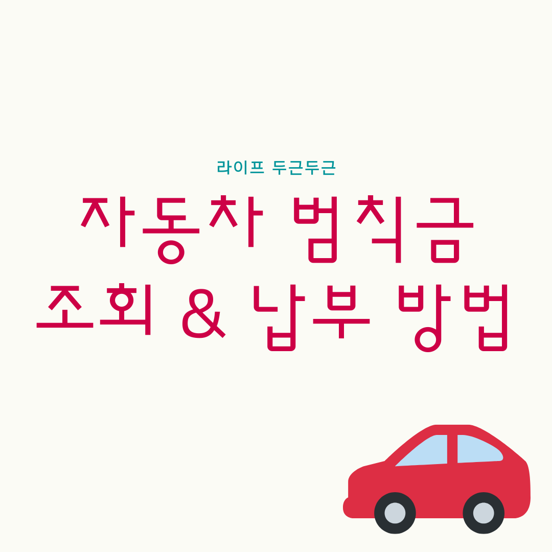 교통 범칙금 조회 종류 카드납부 앱 과태료 교통민원24