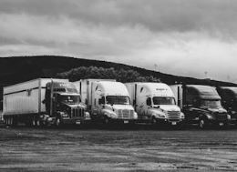 자동차세연납신청납부