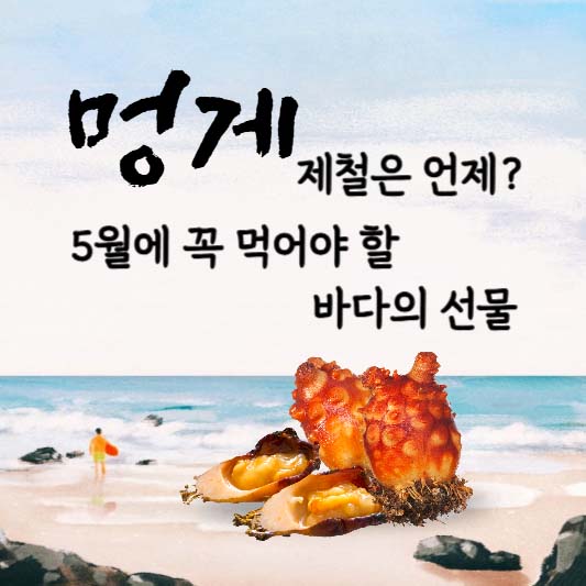 멍게 제철은 언제? 5월에 꼭 먹어야 할 바다의 선물