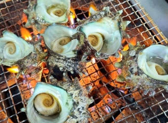 소라 효능 부작용