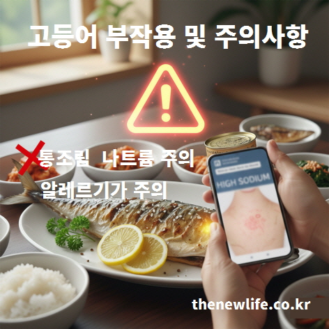 고등어 부작용과 주의사항을 설명하는 이미지로, 알레르기 반응과 통조림 나트륨 주의 요소를 보여주는 고등어 관련 경고 이미지