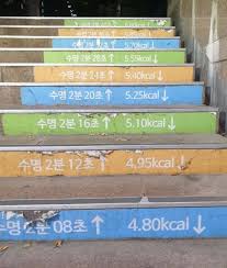 계단오르기 운동 효과