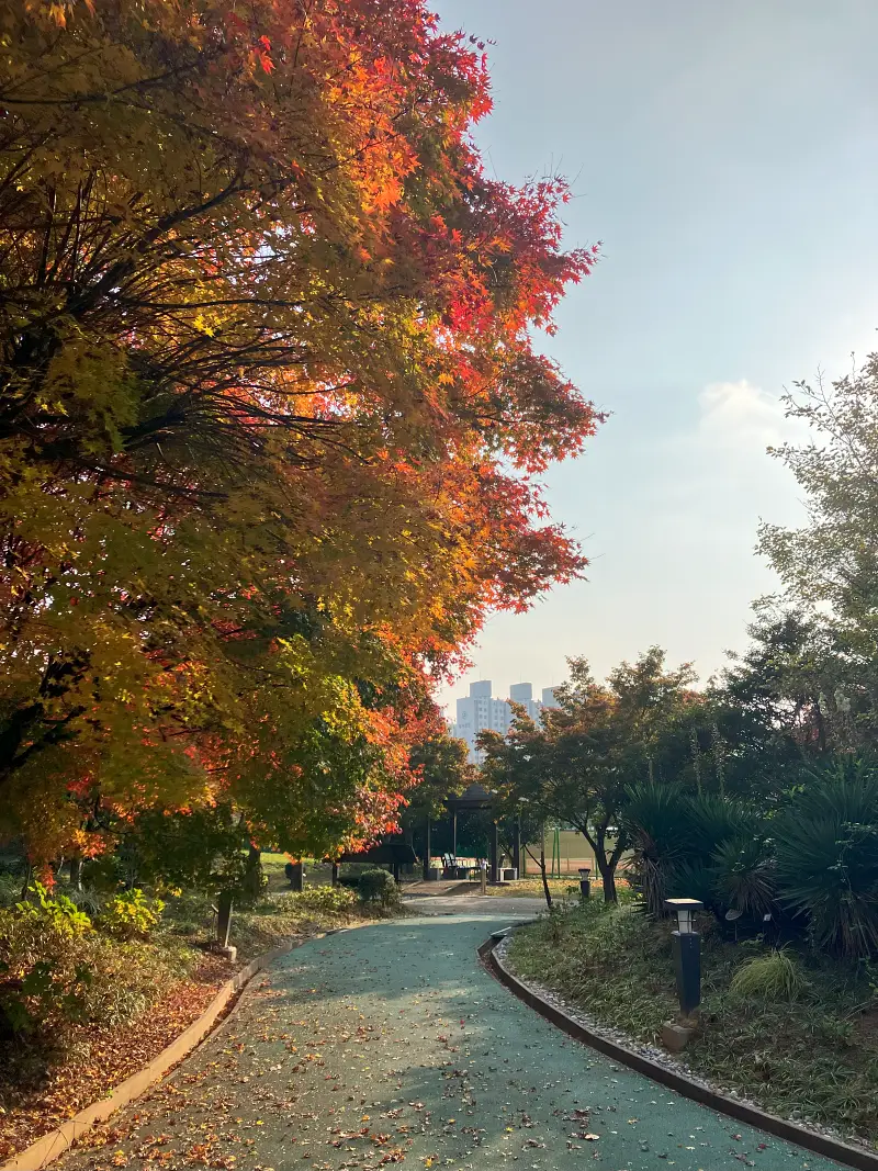풍암생활체육공원