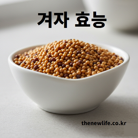 겨자씨 실물 사진 &ndash; 겨자 효능의 핵심 성분인 글루코시놀레이트가 풍부한 씨앗의 모습