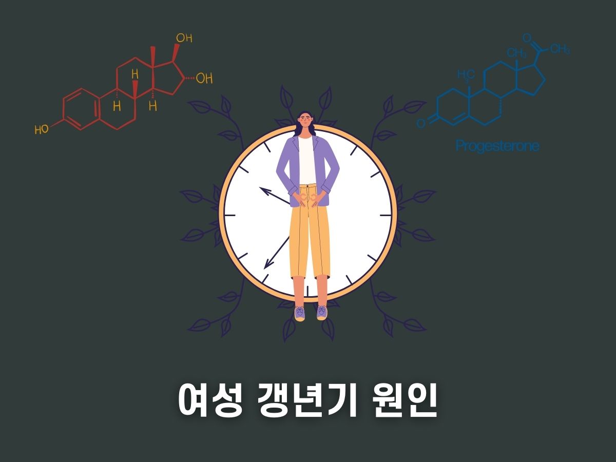 여성 갱년기 원인