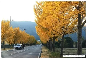 가을 경주 여행 가볼만한곳 베스트 10으로 정리_11