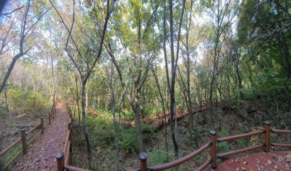 고대산자연휴양림 무장애산책로