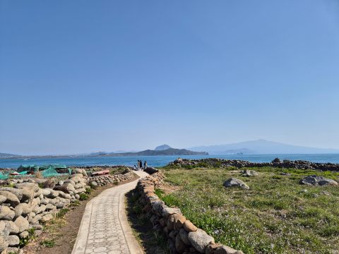 가파도의 돌담과 청보리, 보라유채, 저 멀리 제주도...