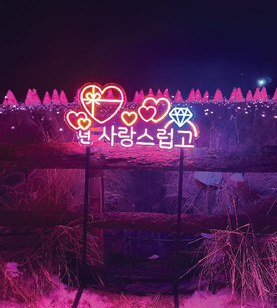 포천 허브아일랜드 불빛동화축제 여행 정보 (2024)