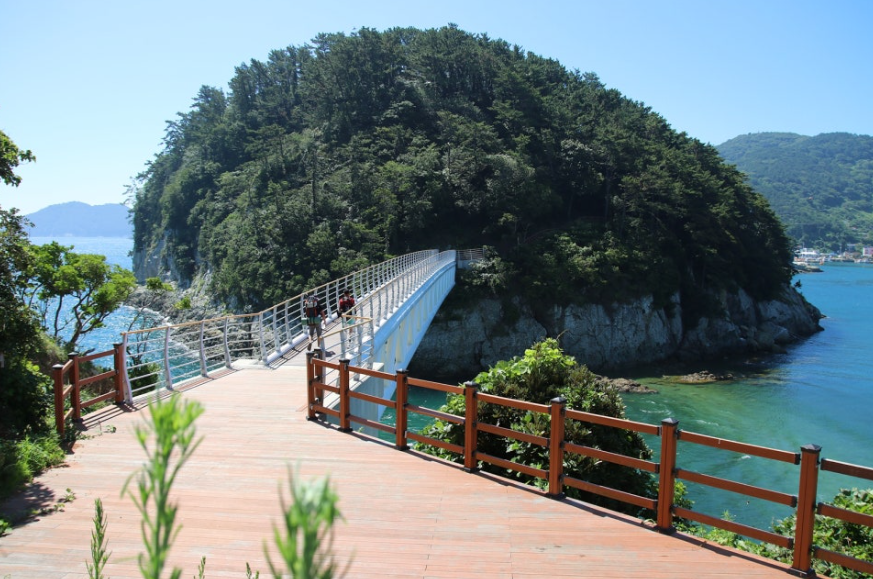 수국도 보고 힐링도 하는 통영 연화도 백패킹 완전 가이드