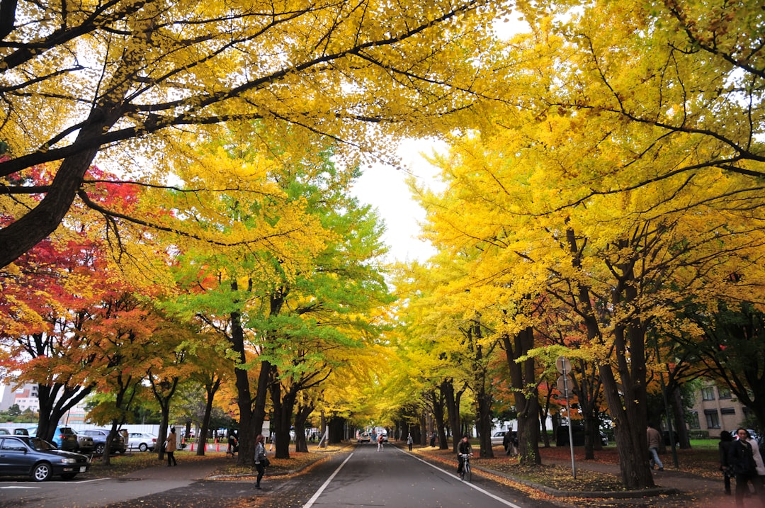 Sapporo