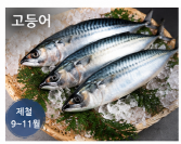 전남 여수 제철 수산물 재근호